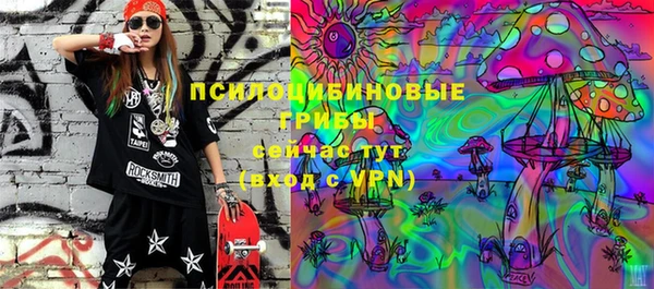 крисы Касимов