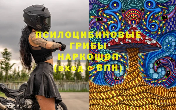 крисы Верхнеуральск