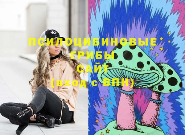 соль ск Верея