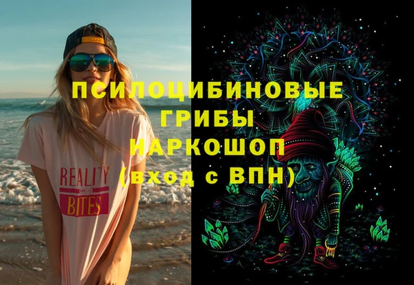 соль курить ск Бородино