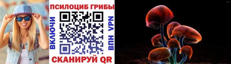 как найти   Новочеркасск  Галлюциногенные грибы прущие грибы 
