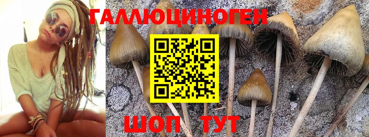 Галлюциногенные грибы мицелий  купить   Новочеркасск  Вход с VPN  Галлюциногенные грибы прущие грибы 
